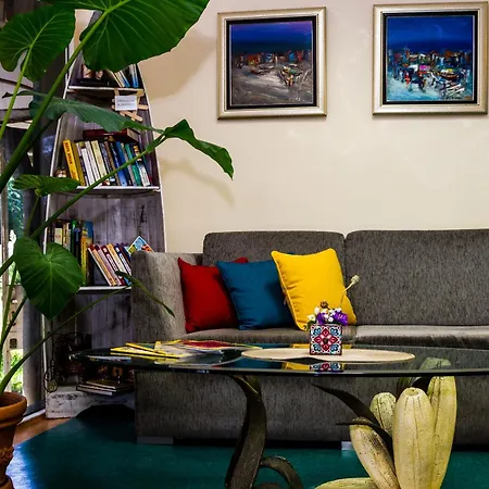 瑟索尼南布尔加斯酒店 招待所 2*