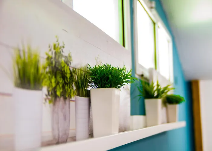 Sezoni South 2* Бургас